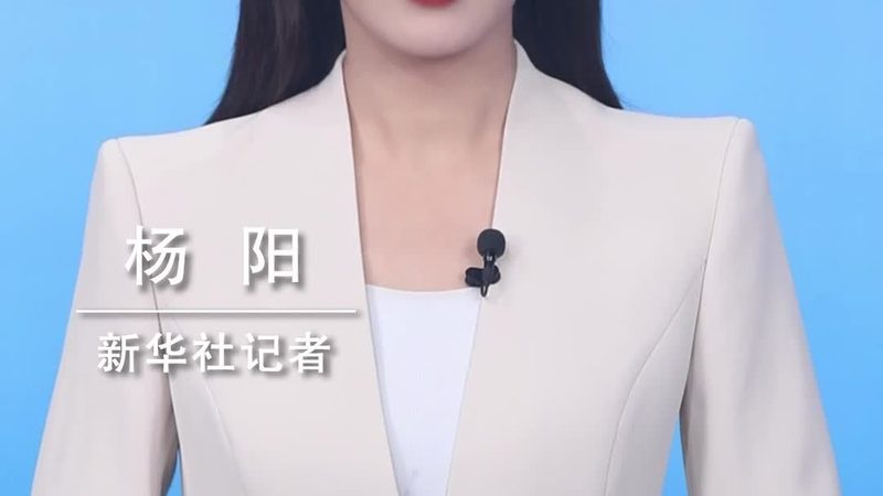 AI应用平台：价格背后的考量因素**